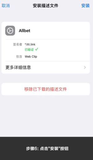欧博iOS平台应用安装与配置流程示意图6
