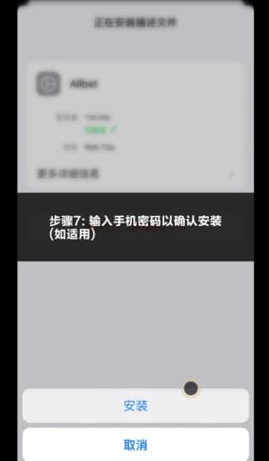 欧博iOS平台应用安装与配置流程示意图7